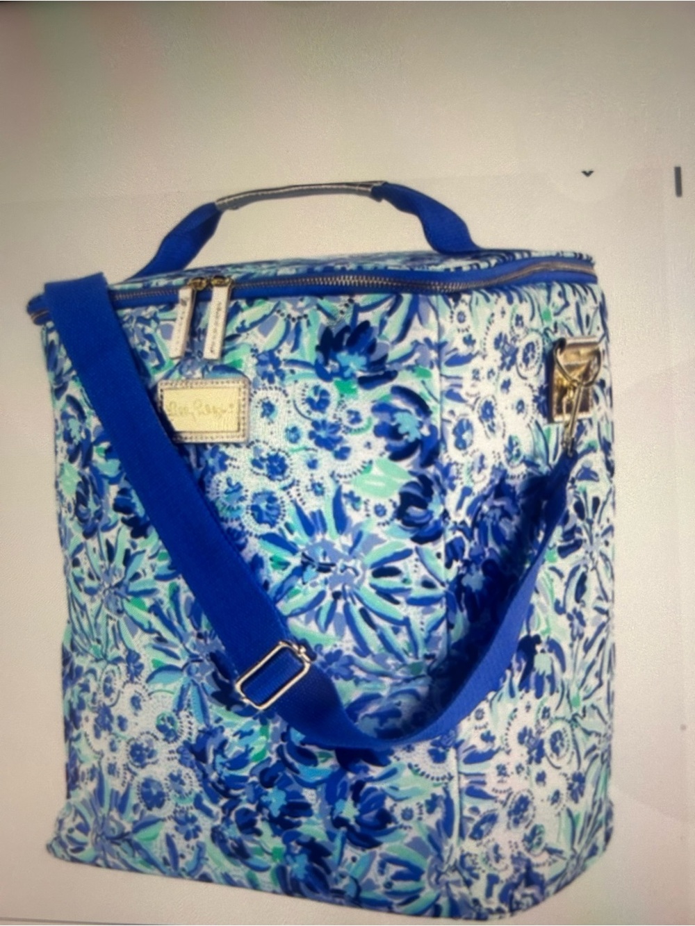 Like New Lilly Pulitzer Cooler/Wine Carrier